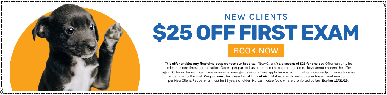 Click here to book your appointment online
